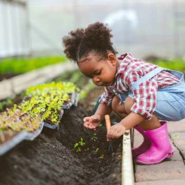 Toddler Gardening
