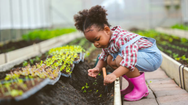 Toddler Gardening