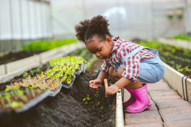 Toddler Gardening